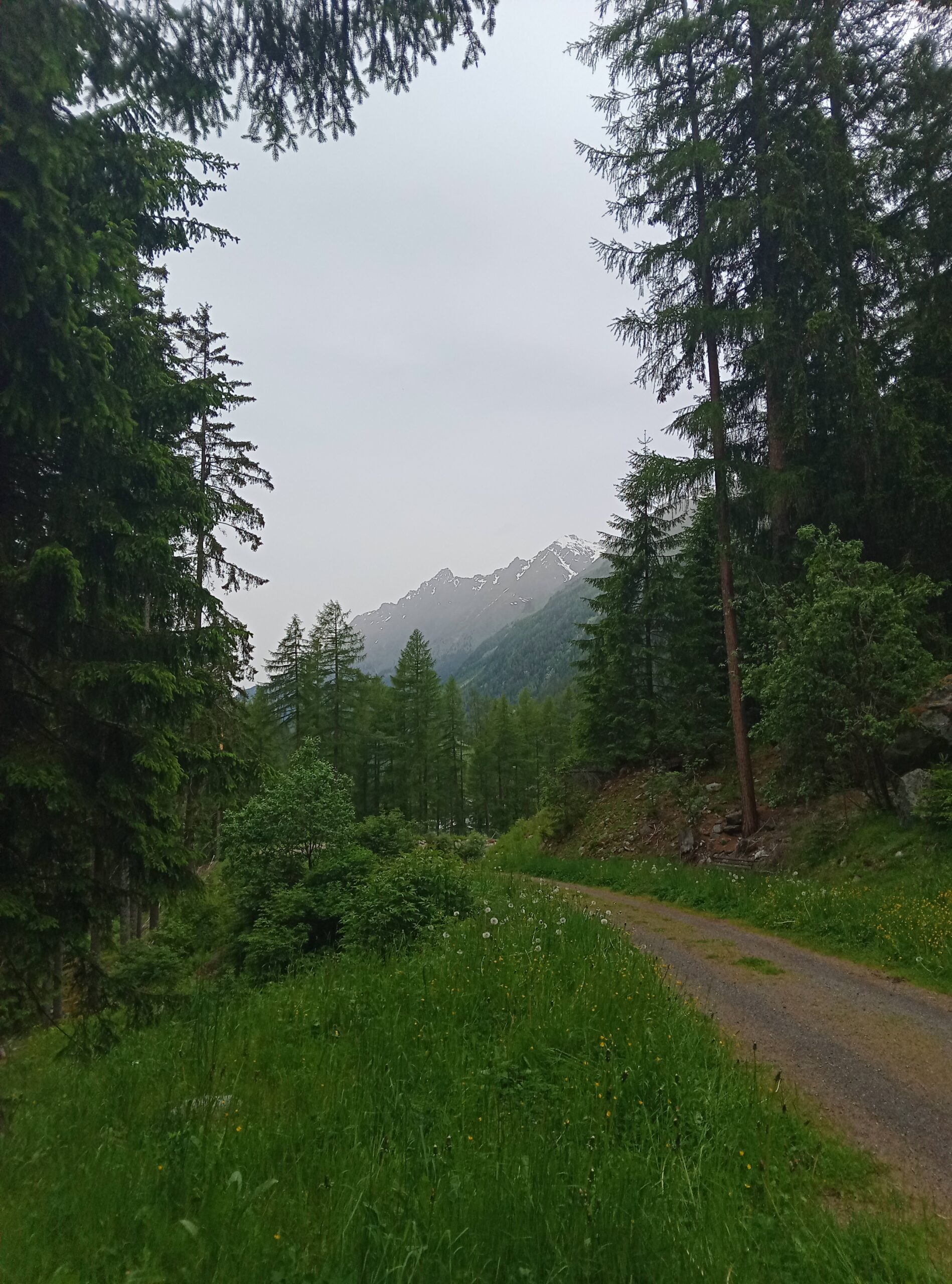 WPÖ-2024 Tag 7: Zwieselstein – Längenfeld