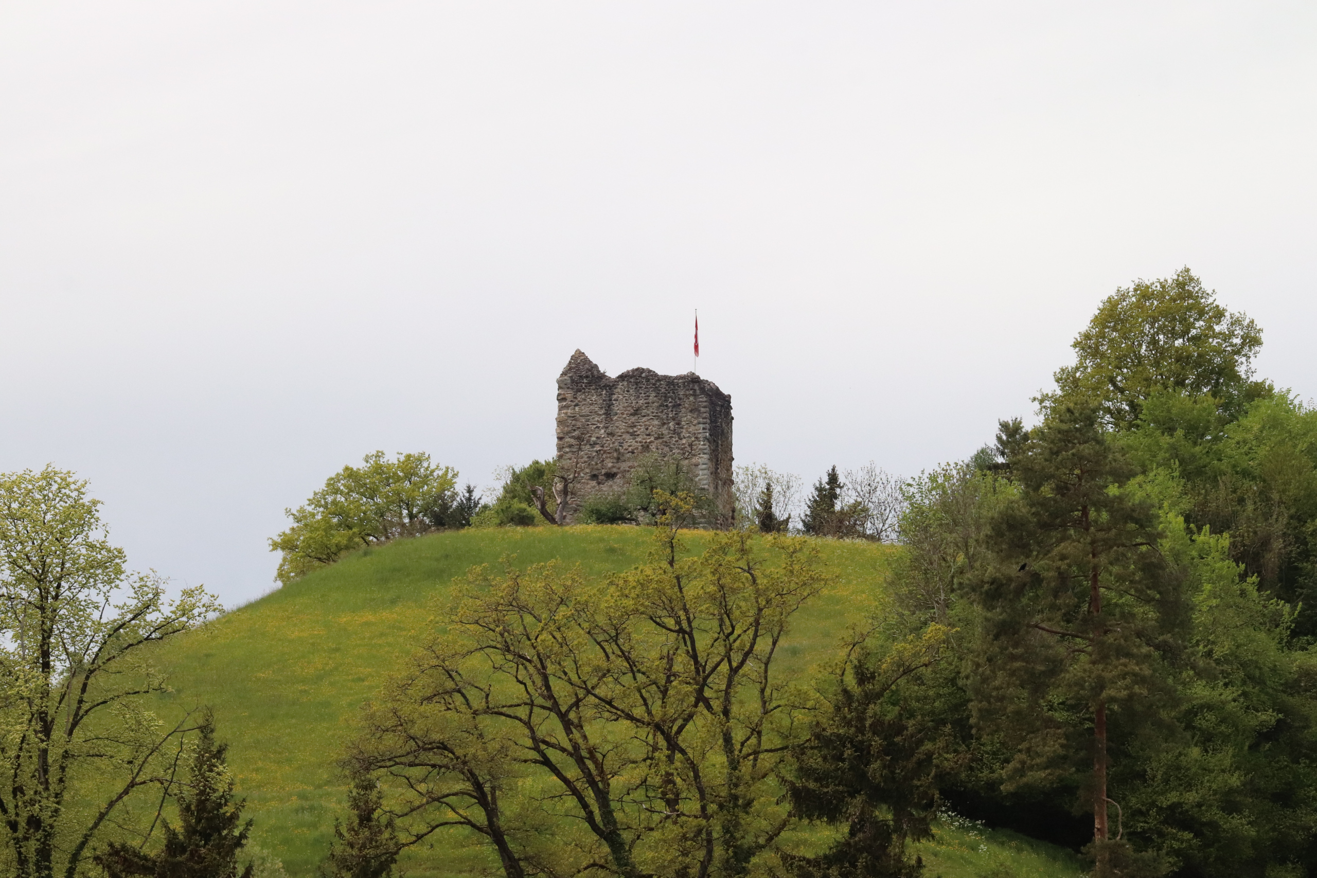 Grosser Ruinenweg Schönenberg an der Thur