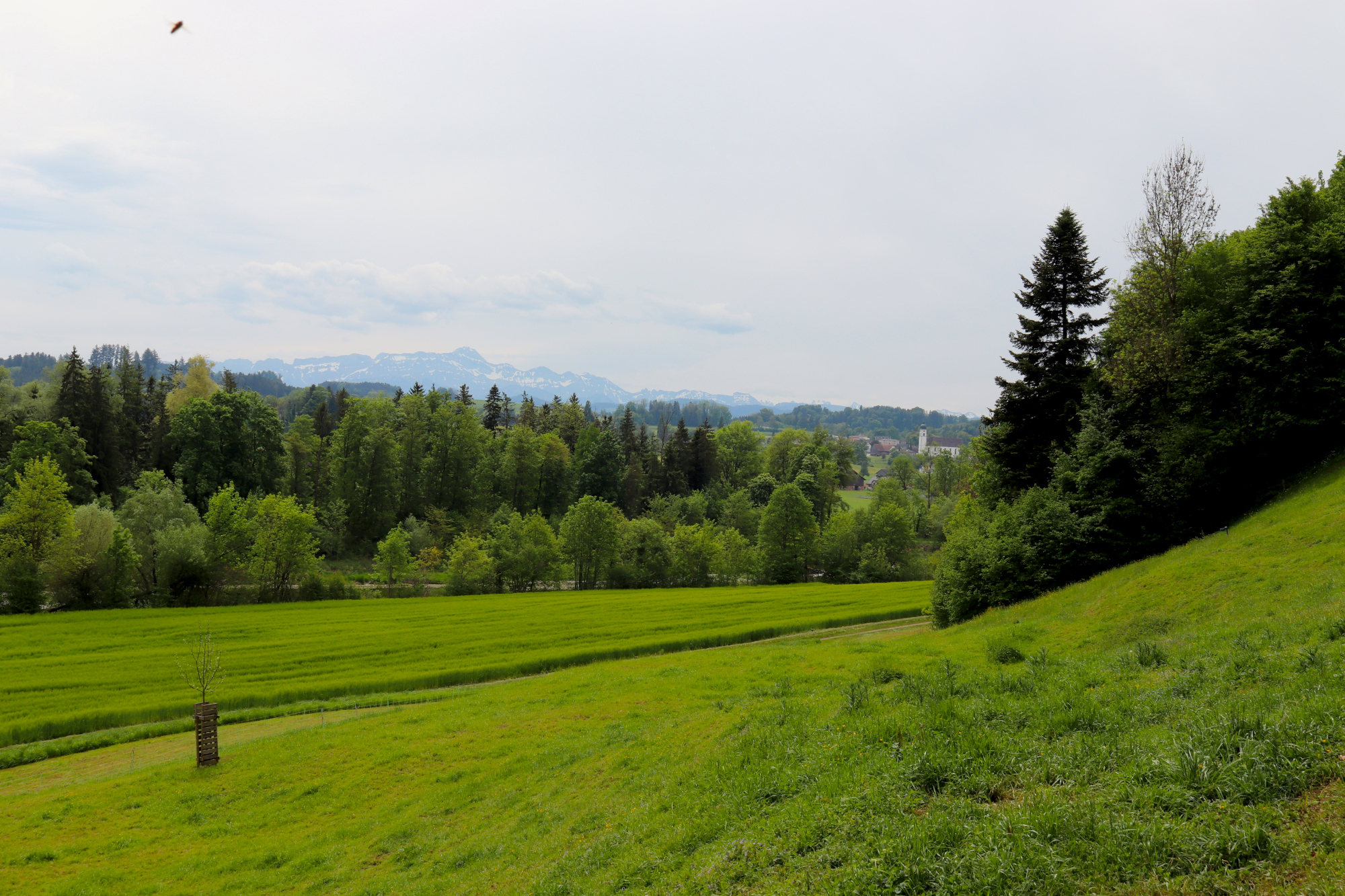 Rund um die Schweiz – Tag 2: Kradolf – Herisau